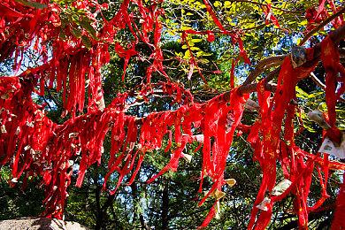 《死亡循环》再次确认将于2022年9月结束PS5独占